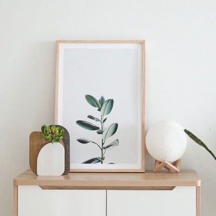 Simple Nature Picture Frame